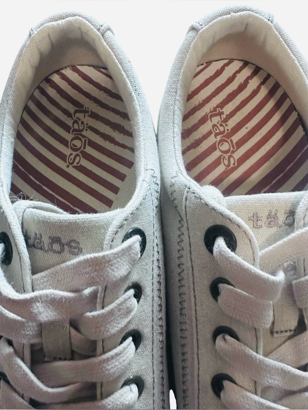 TAOS FOOTWEAR Plim Soul Canvas Sneaker Sz 10 - Picture 5 of 8